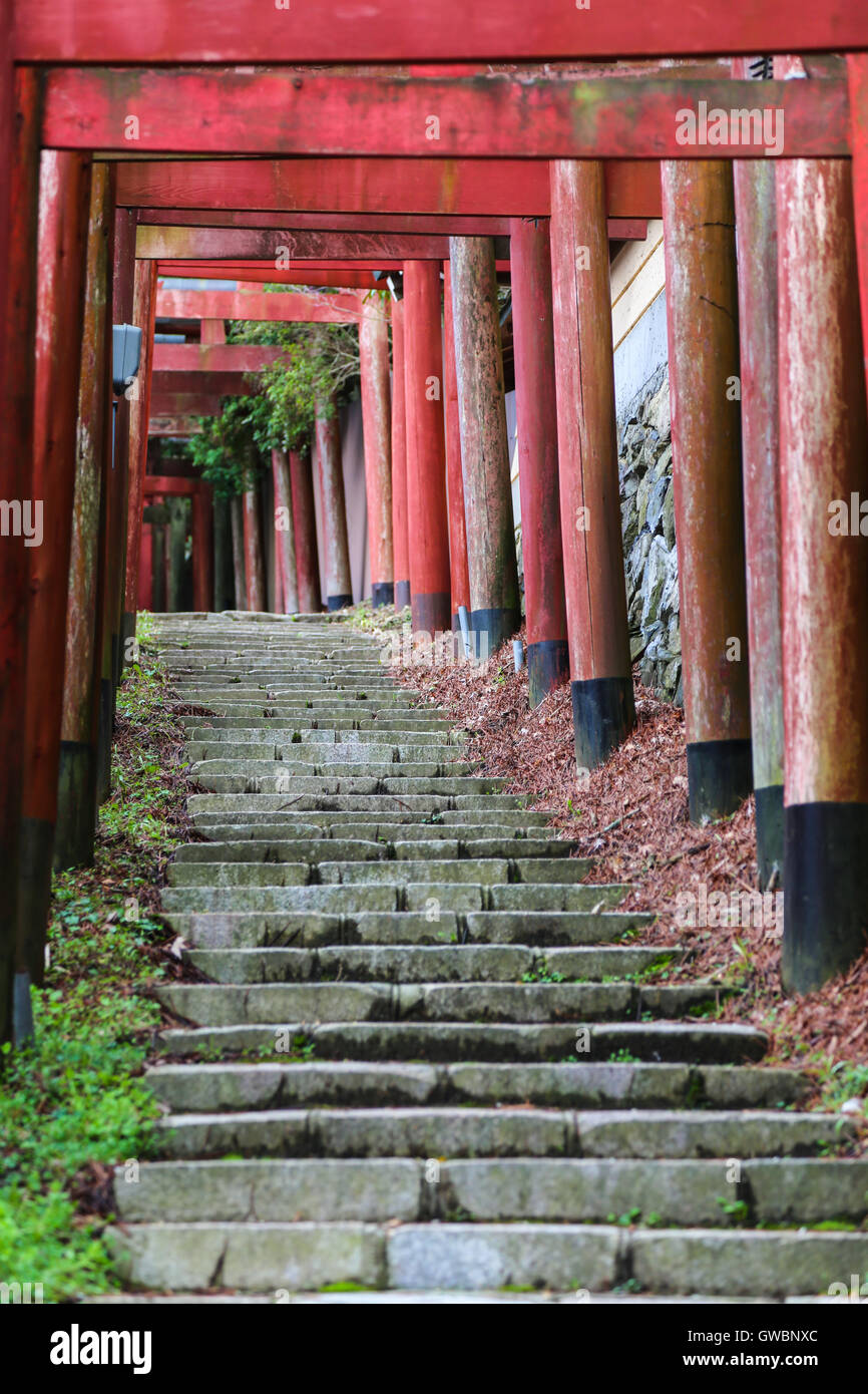Escaleras con una línea de puertas torii tradicional japonesa Foto de stock