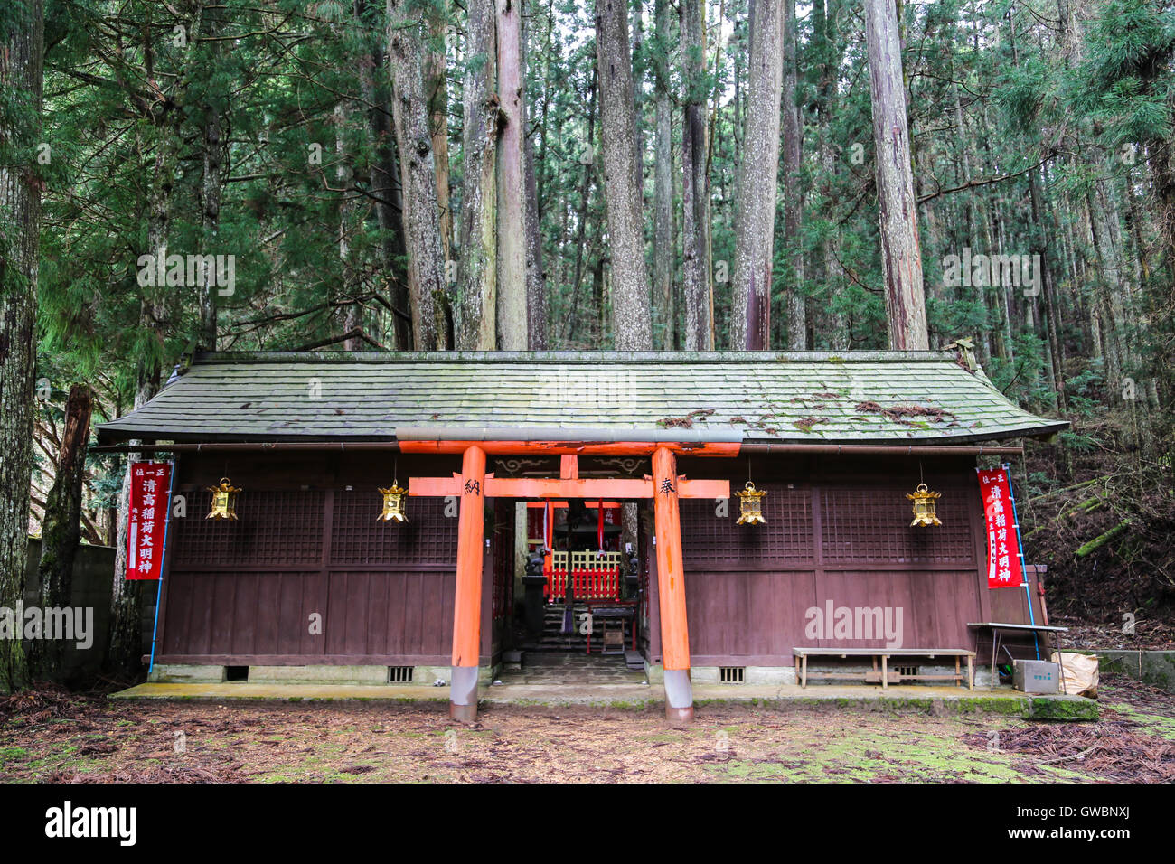 Templo sintoísta japonés en el bosque Foto de stock