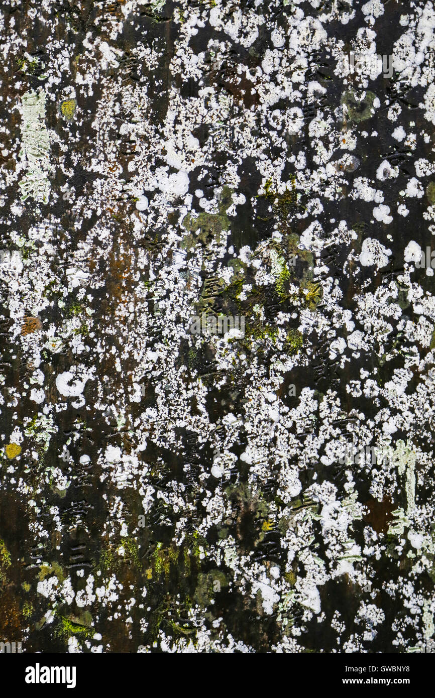 White Moss en un japonés antiguo de piedra grave Foto de stock