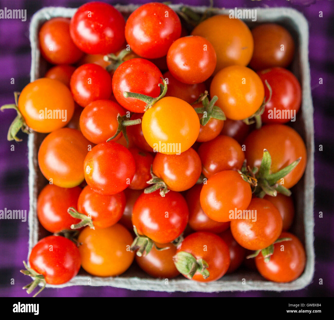 Cesta de tomates rojos y amarillos Foto de stock