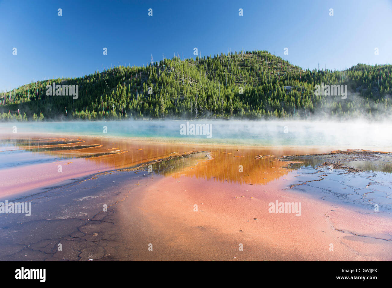 Grand Prismatic Spring en Midway Geyser Basin, con vapor y reflexiones. El Parque Nacional Yellowstone, Wyoming, Estados Unidos Foto de stock