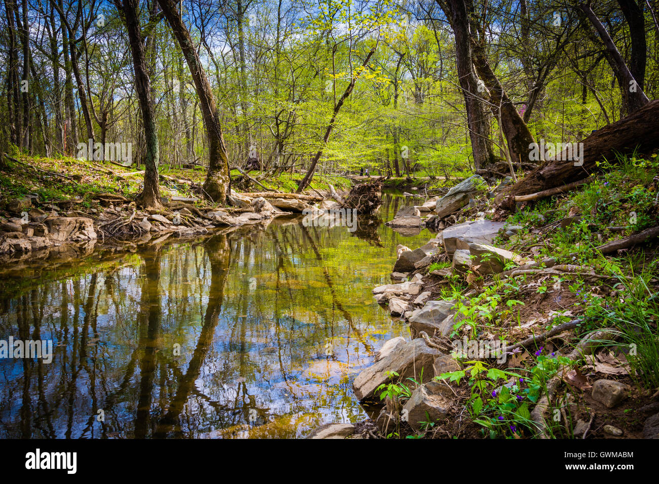 El Canal Patowmack en Great Falls Park, Virginia. Foto de stock