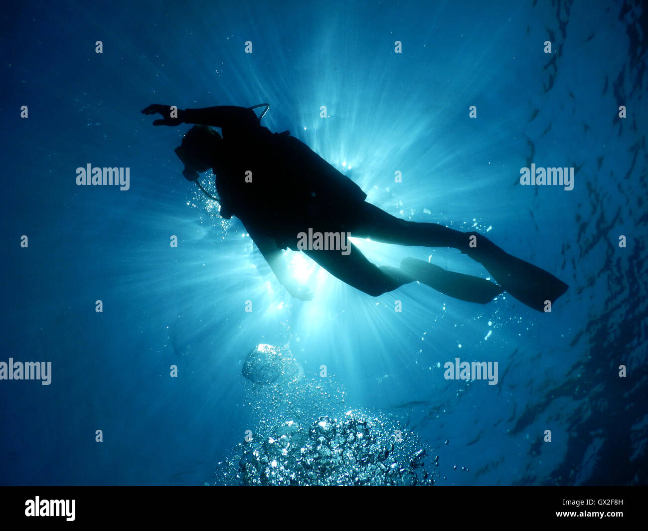 Bucear en las cristalinas aguas del Mediterráneo. Fotos submarinas de