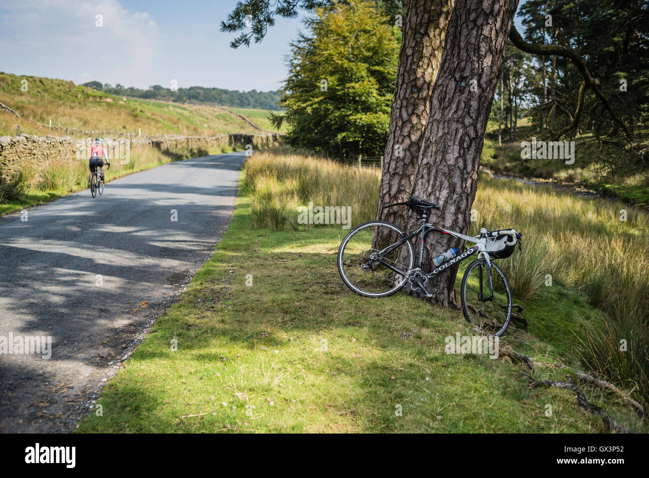 Bosque de Bowland ciclismo con una bicicleta Colnago descansando mientras el propietario toma un descanso merecido. Foto de stock