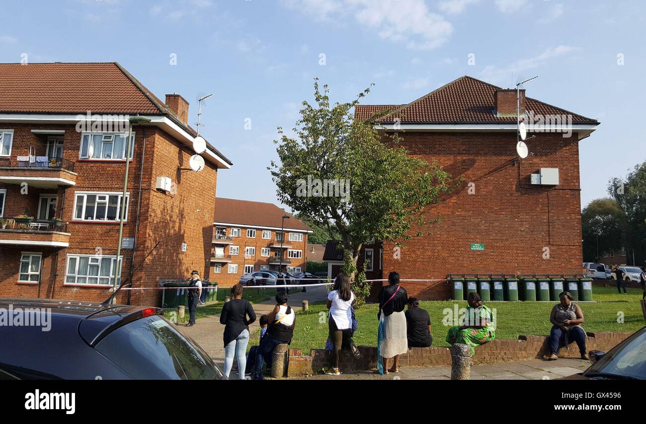 Pisos en media luna Elmshurst en East Finchley, en el norte de Londres, donde un hombre y una mujer con heridas de bala han sido encontrados muertos. Foto de stock