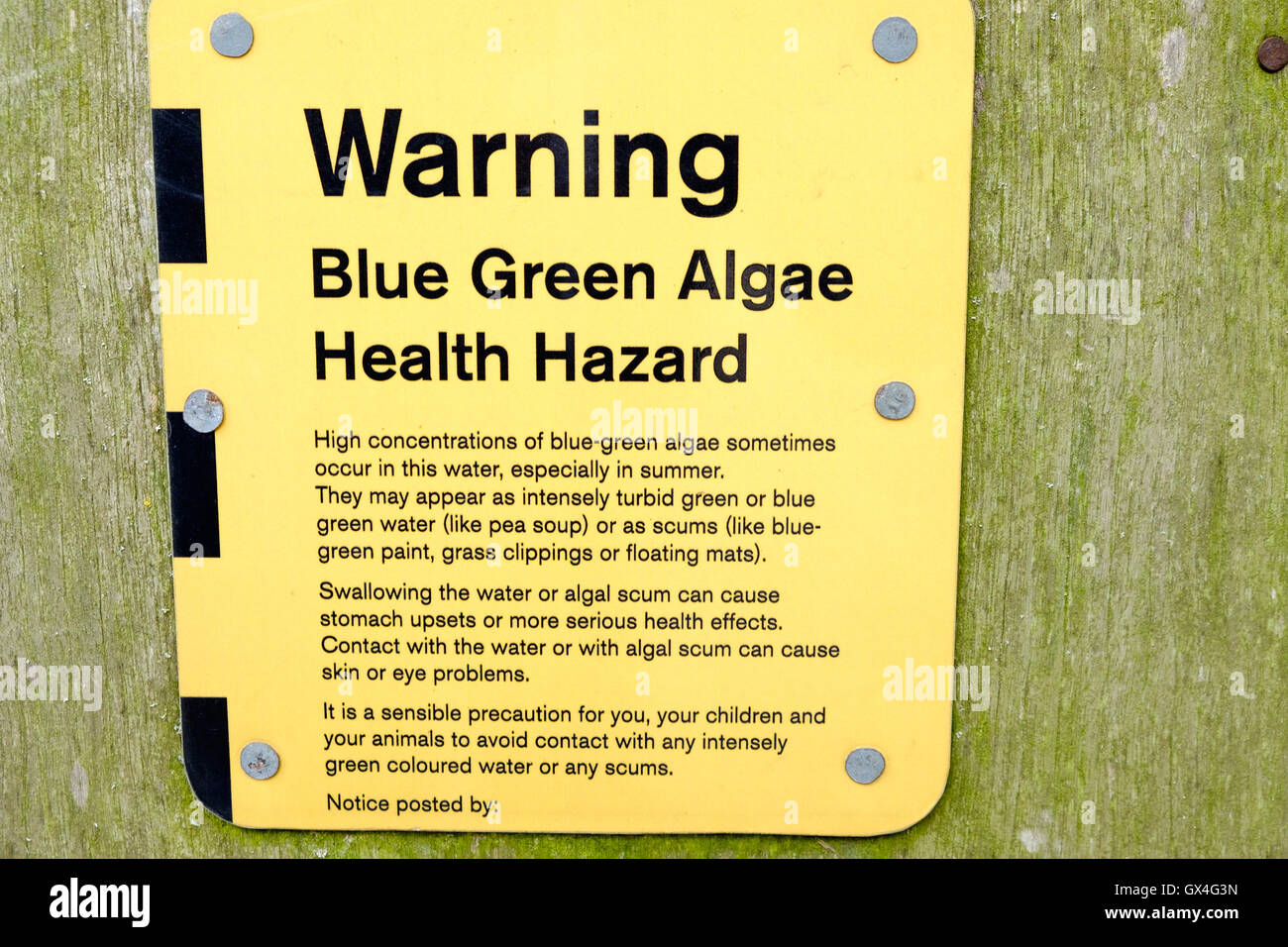 Señal de advertencia de peligro para la salud de las algas azul verde Foto de stock