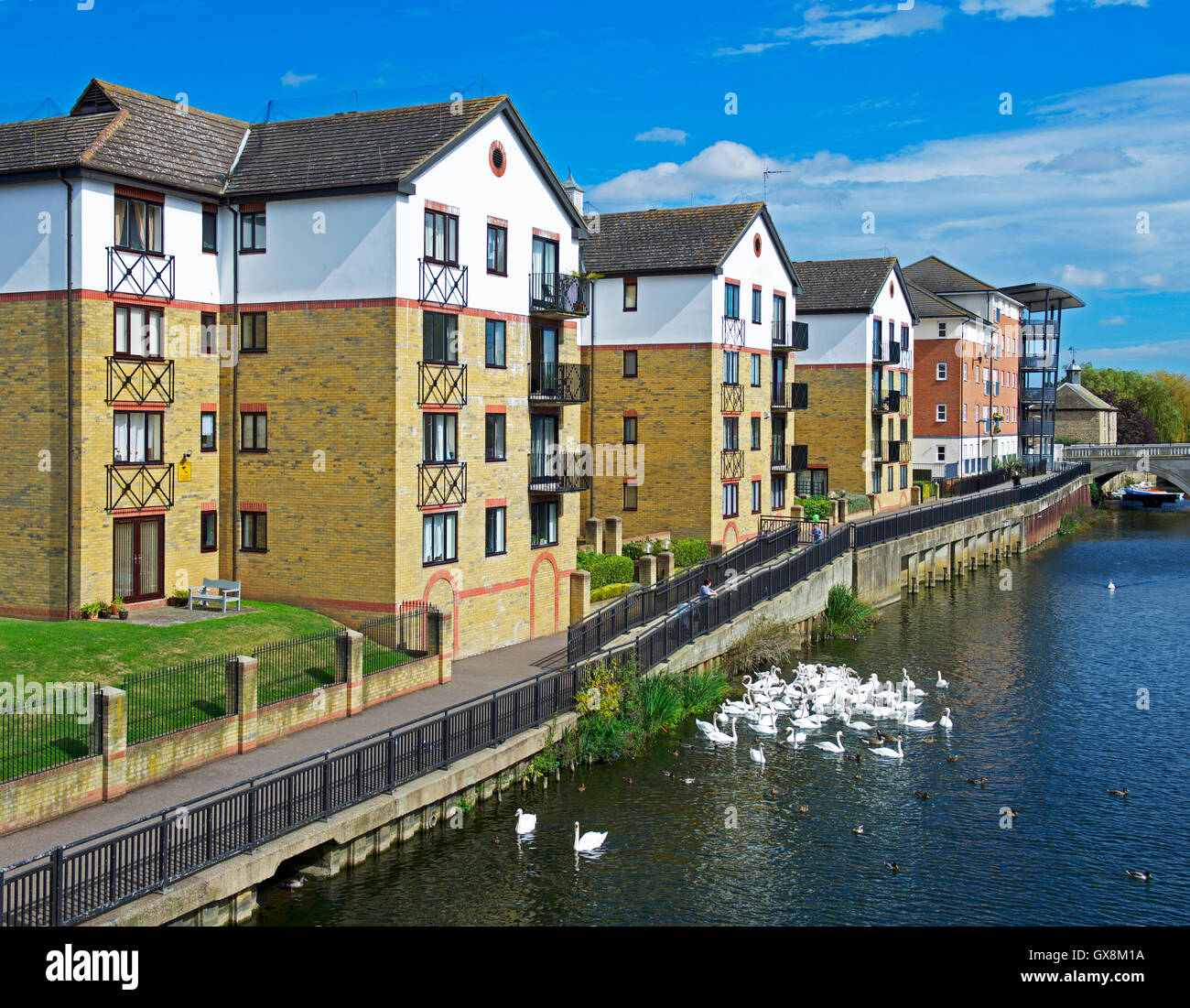 El Río Nene y Riverside Apartments, Peterborough, Cambridgeshire, Inglaterra Foto de stock