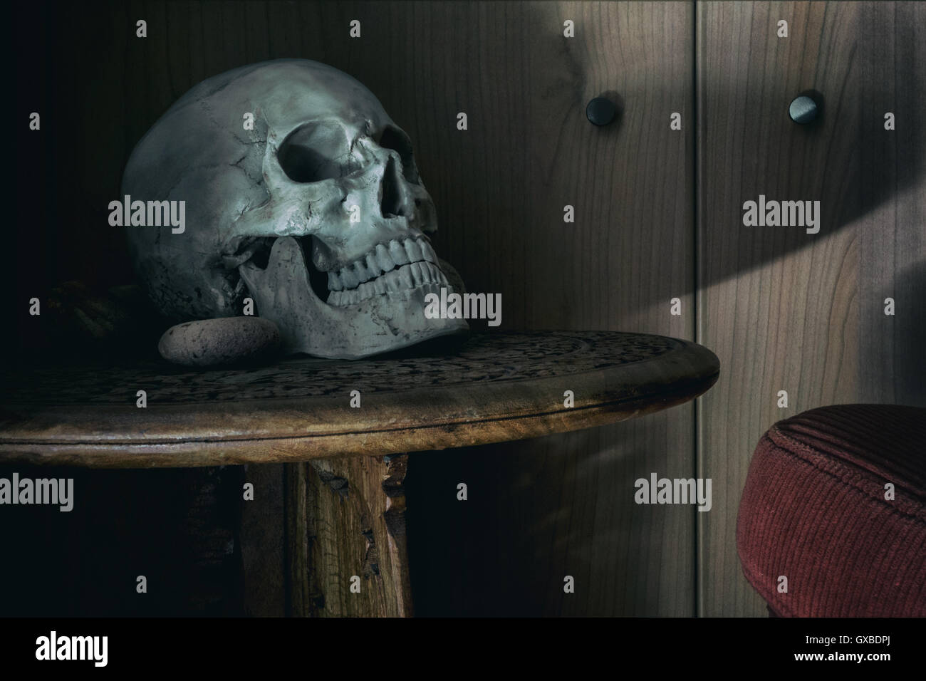 La fotografía de modos de vida con cráneo humano Foto de stock
