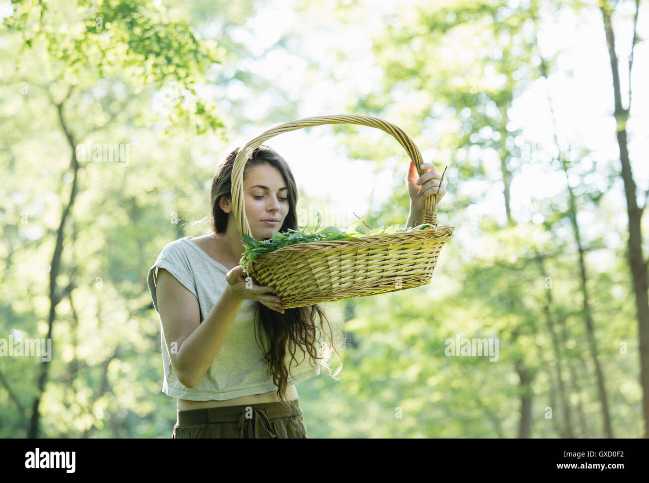 Mujer joven oliendo forrajeado hierbas silvestres en los bosques, Vogogna, Verbania, Piemonte, Italia Foto de stock
