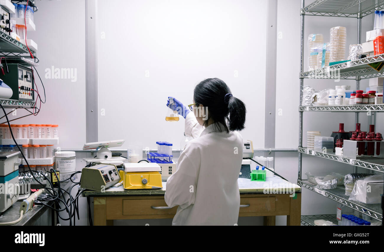 El científico asiático examinando el líquido en el vaso Foto de stock