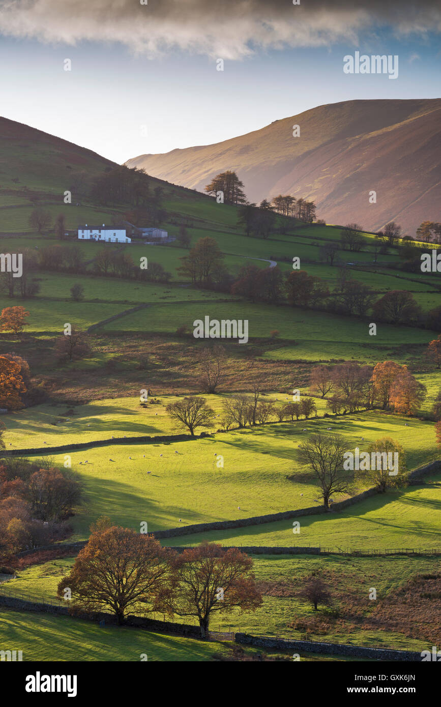 Alta Snab granja en el hermoso Valle de Newlands, Lake District National Park, Cumbria, Inglaterra. Otoño (noviembre de 2014). Foto de stock