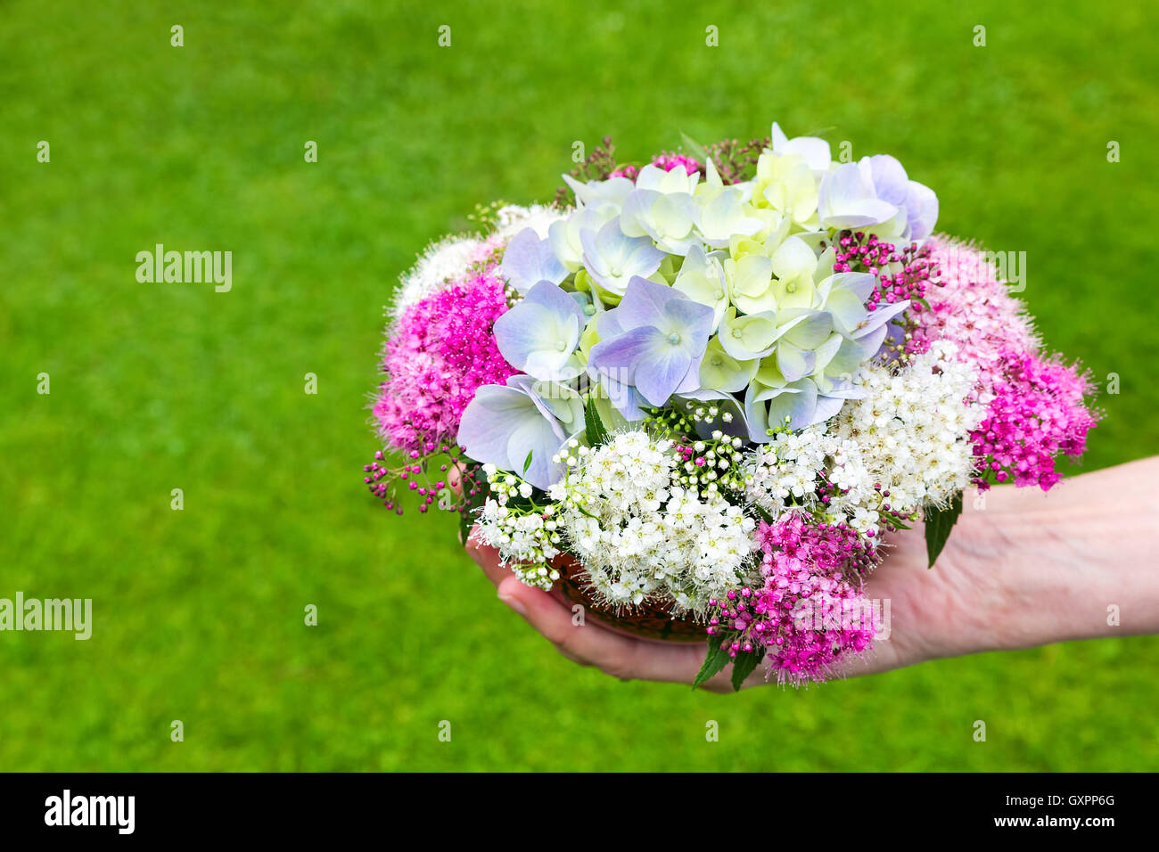 Dando la mano bouquet de flores de verano en jarrón con fondo de pasto Foto de stock