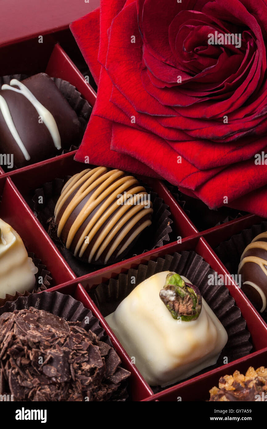 Imagen de deliciosos chocolates artesanales y pétalos de rosa Foto de stock