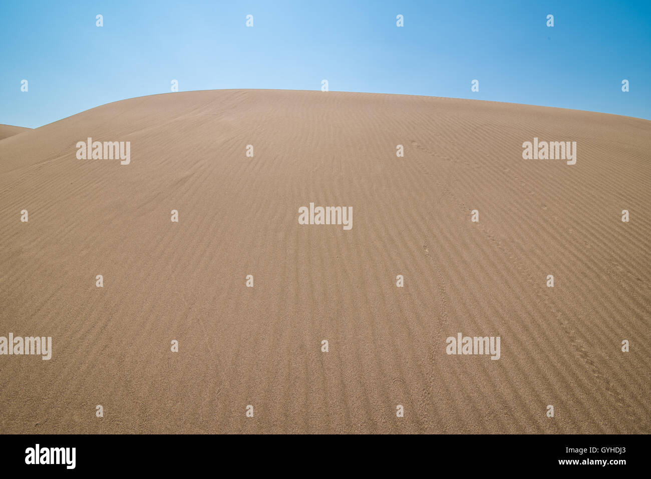 Hermoso amanecer en la duna de arena en el desierto Foto de stock