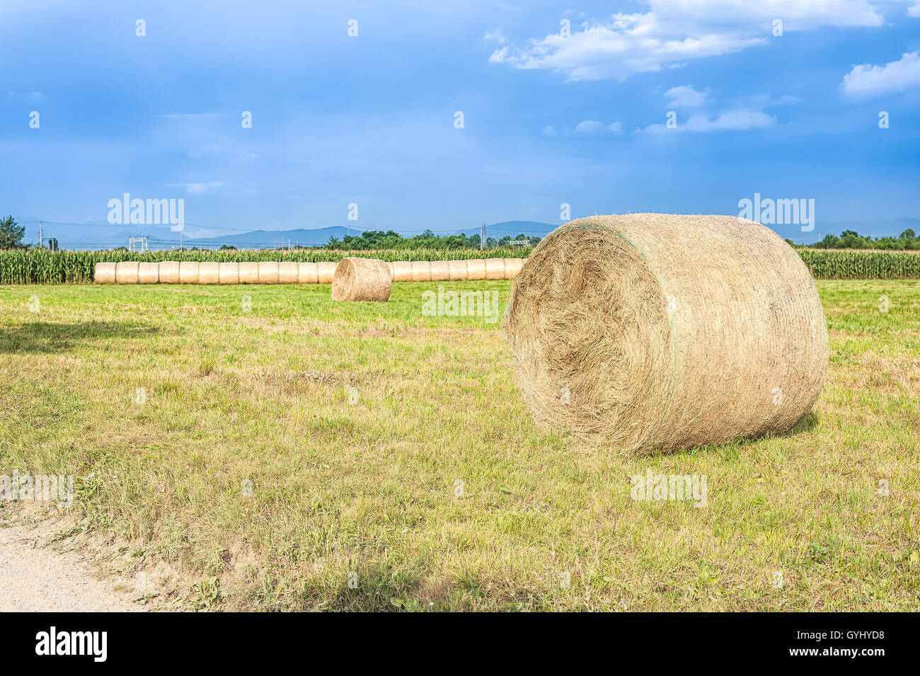 El paisaje agrícola con los fardos de heno y un cielo azul Foto de stock
