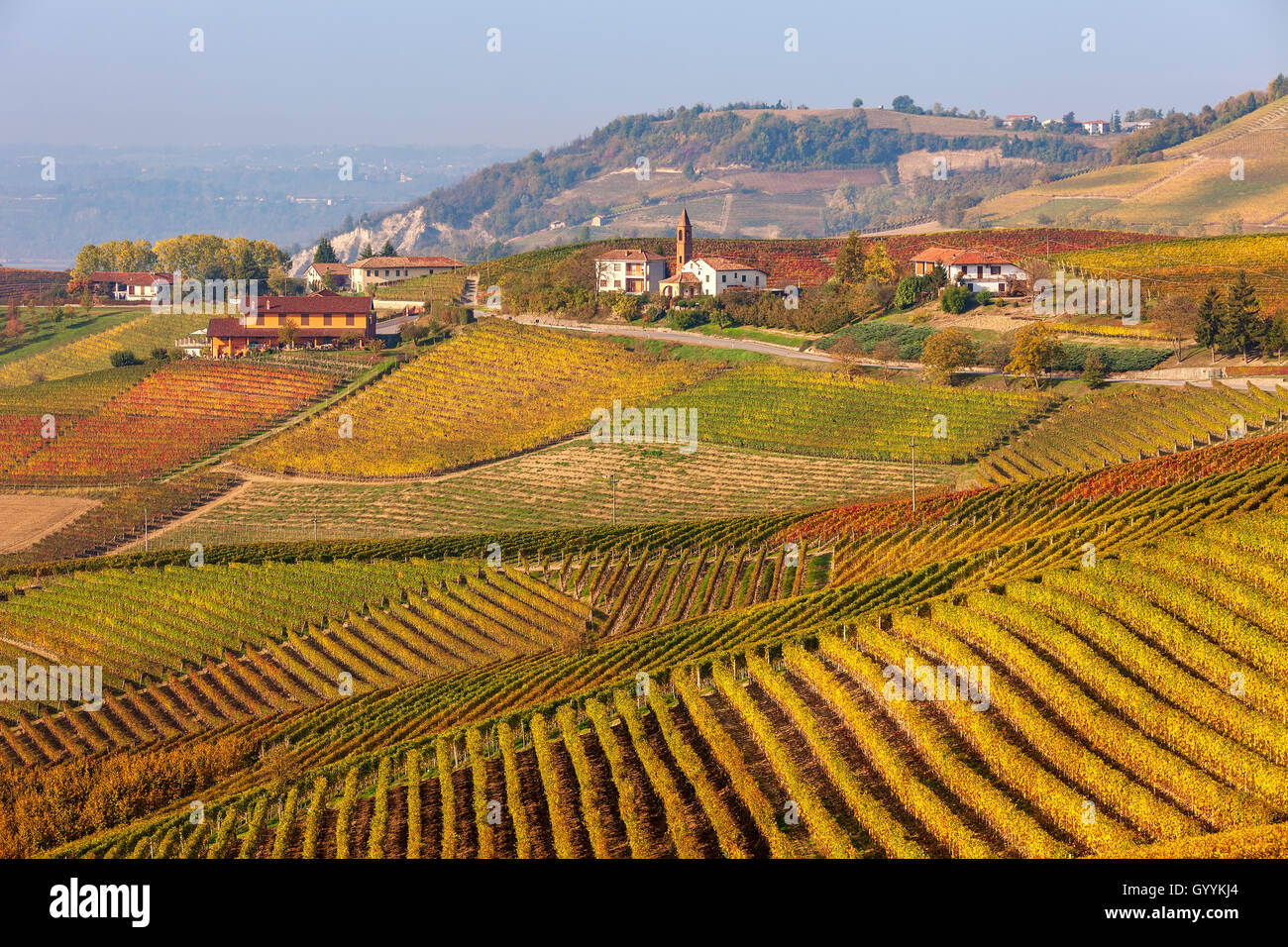 Hileras de viñedos en las colinas de Piamonte, Italia en otoño. Foto de stock