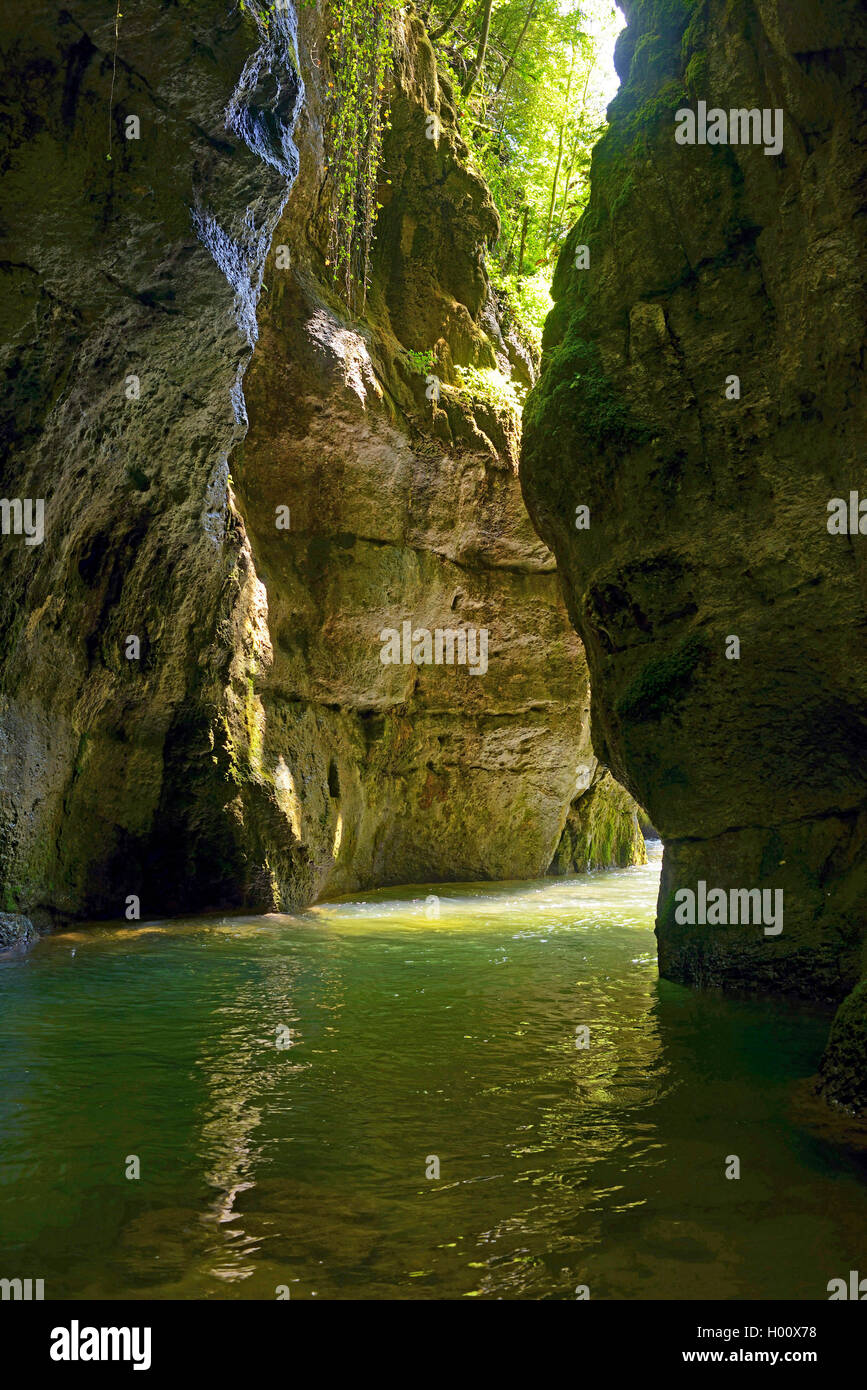 Cañón de Grands Goulets, Francia, Auvergne-Rh¶ne-Alpes, Parque Nacional de Vercors, Pont en Royans Foto de stock