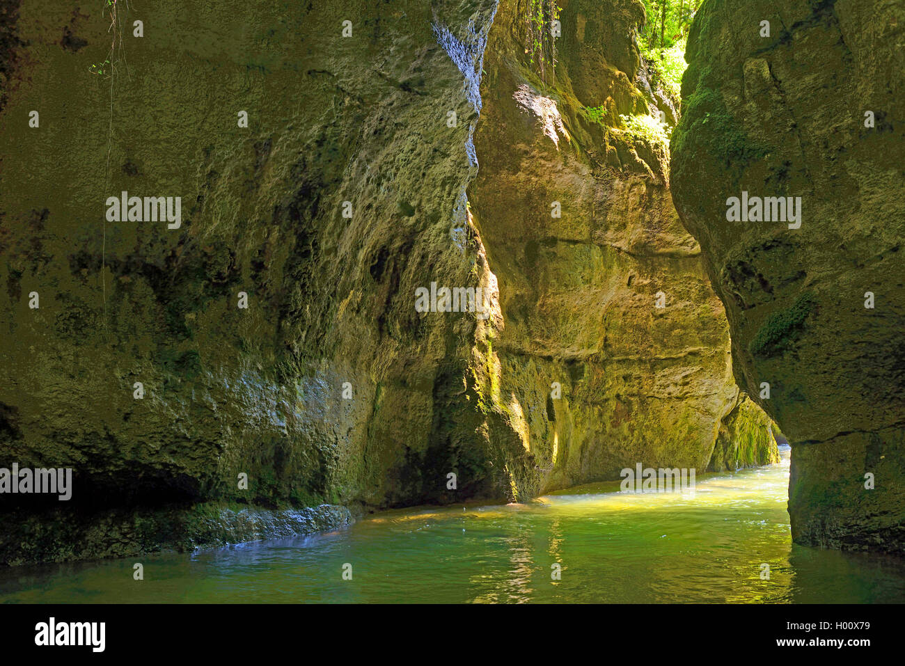 Cañón de Grands Goulets, Francia, Auvergne-Rh¶ne-Alpes, Parque Nacional de Vercors, Pont en Royans Foto de stock