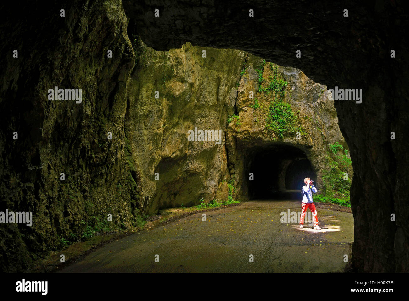 Carretera de montaña con túneles gorge Grands Goulet, Francia, Auvergne-Rh¶ne-Alpes, Parque Nacional de Vercors, Pont en Royans Foto de stock