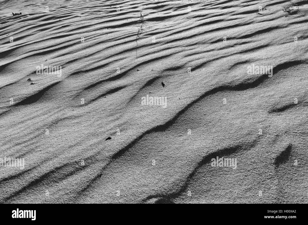 La arena de la playa la textura de la superficie. Fondos y texturas naturales Foto de stock