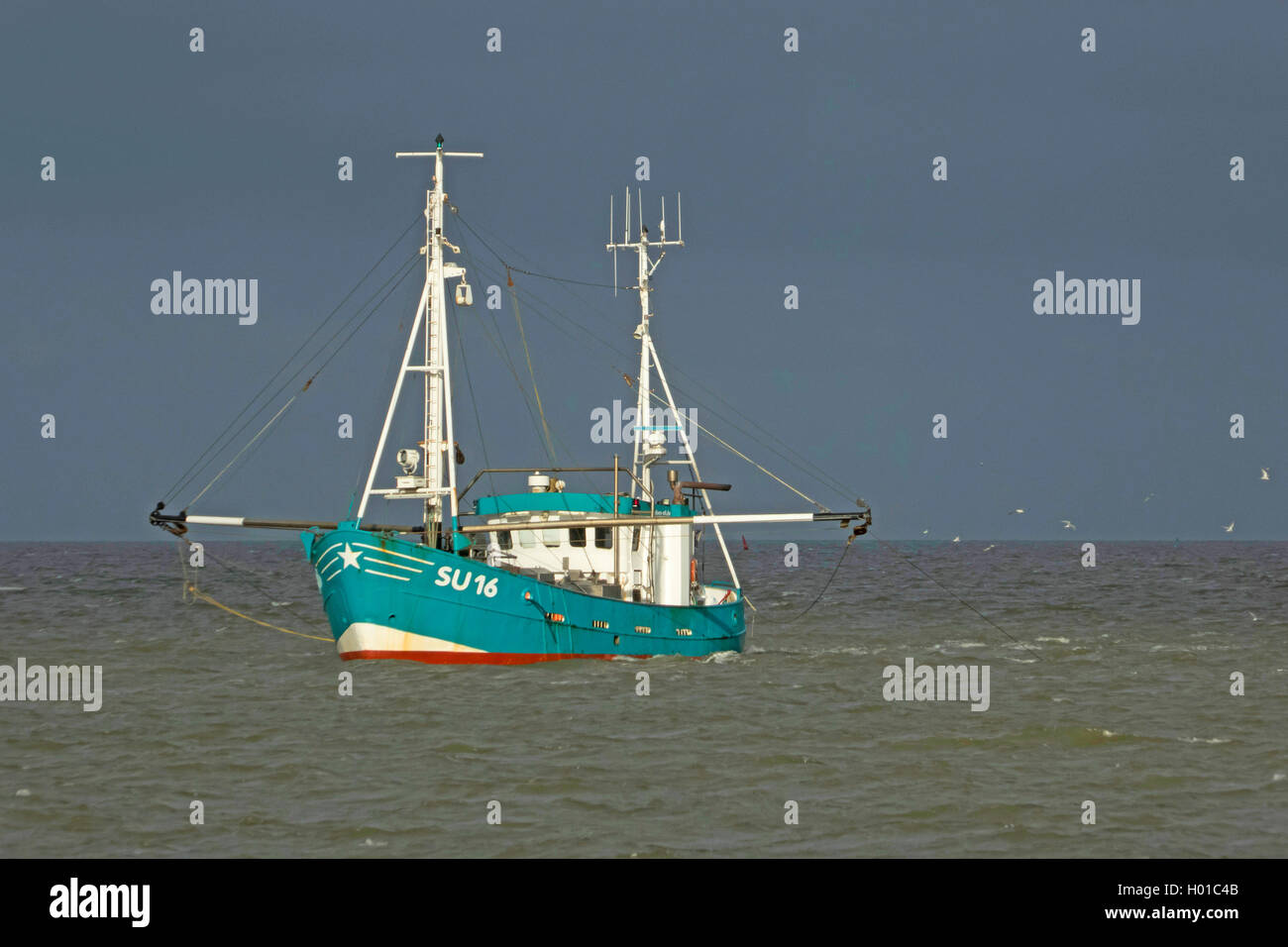 Barco de pesca en el mar de mareas, Alemania, Schleswig-Holstein, en el norte de Frisia, Hooge Hallig Foto de stock
