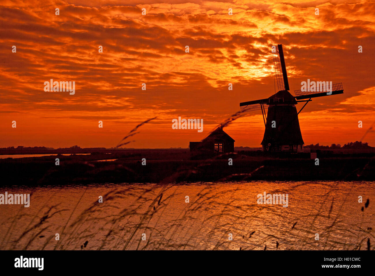 Windmuehle bei Sonnenuntergang Het Noorden, Niederlande, Texel | molino Het Noorden al atardecer, Holanda, Texel | BLWS433389 Foto de stock
