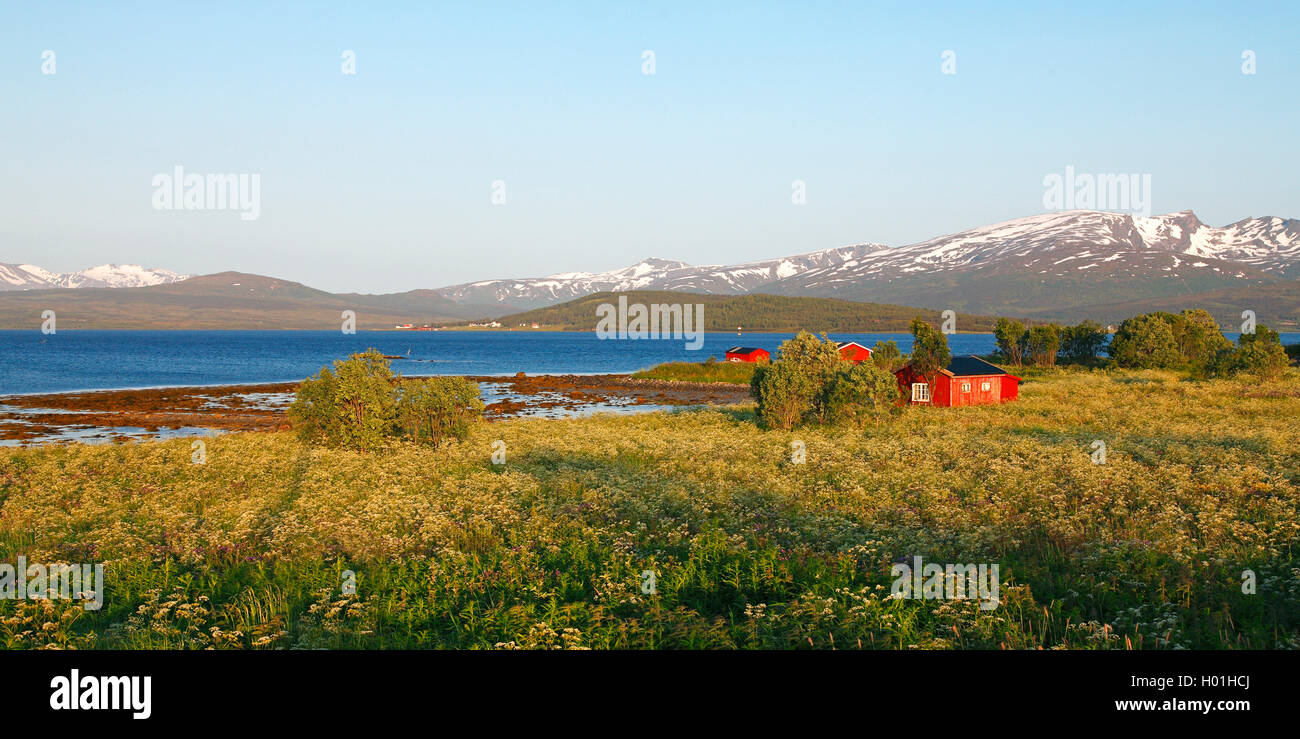 Asador Langnes de tierra en luz del atardecer, Noruega, Tromsoe Foto de stock