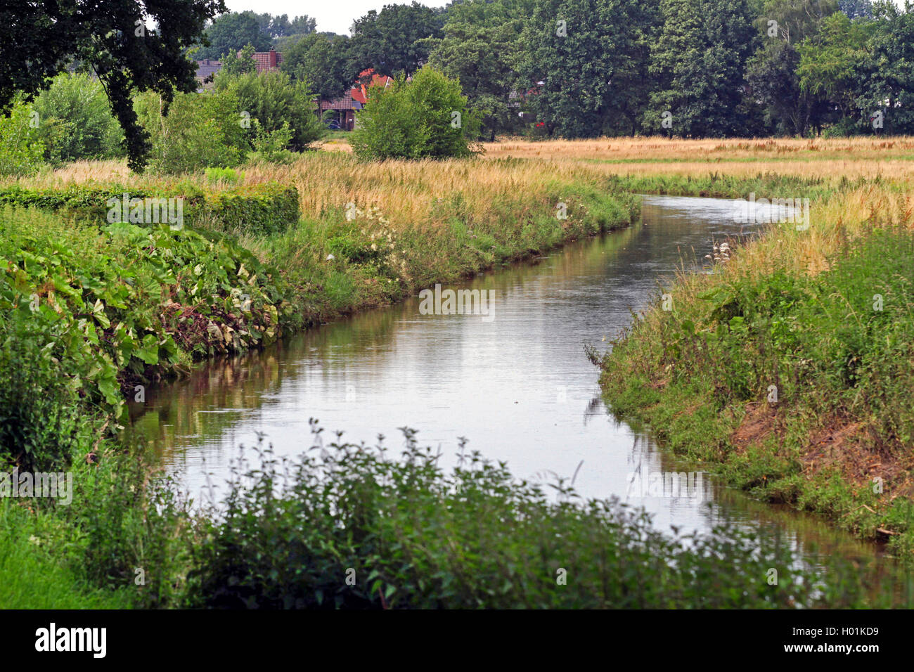 Río Borkener Aa, en Alemania, en Renania del Norte-Westfalia, Muensterland Foto de stock