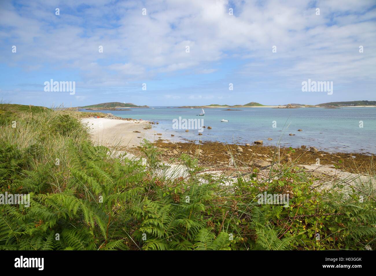 Bahía Pentle, Isles of Scilly, Tresco, Inglaterra Foto de stock