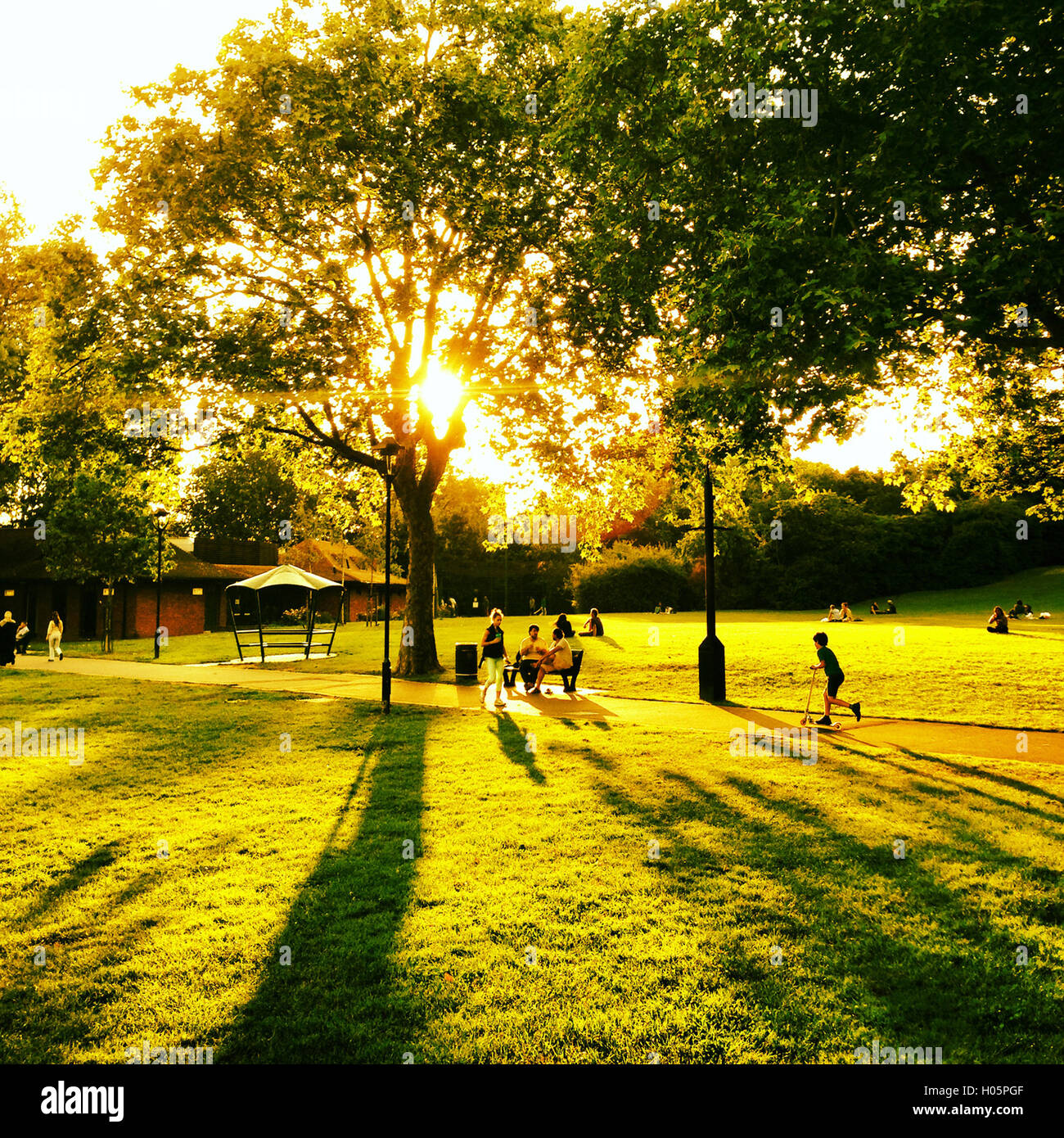 Escena de verano en un parque de Londres a finales del verano de rayas y sombras a través de árboles con gente caminando Foto de stock