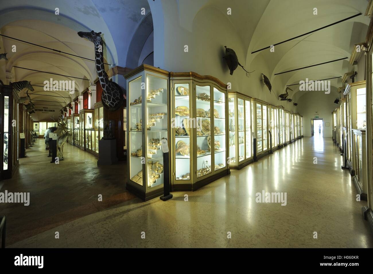 Los Museos Cívicos de Reggio Emilia. Palacio de museo en Reggio Emilia, Italia, Europa Foto de stock