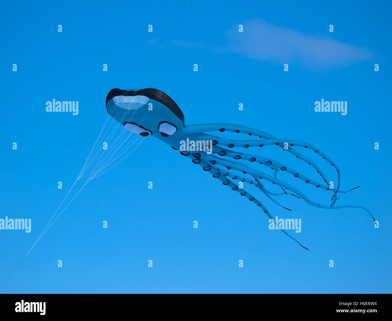 Octopussy volar cometas en el cielo azul Foto de stock