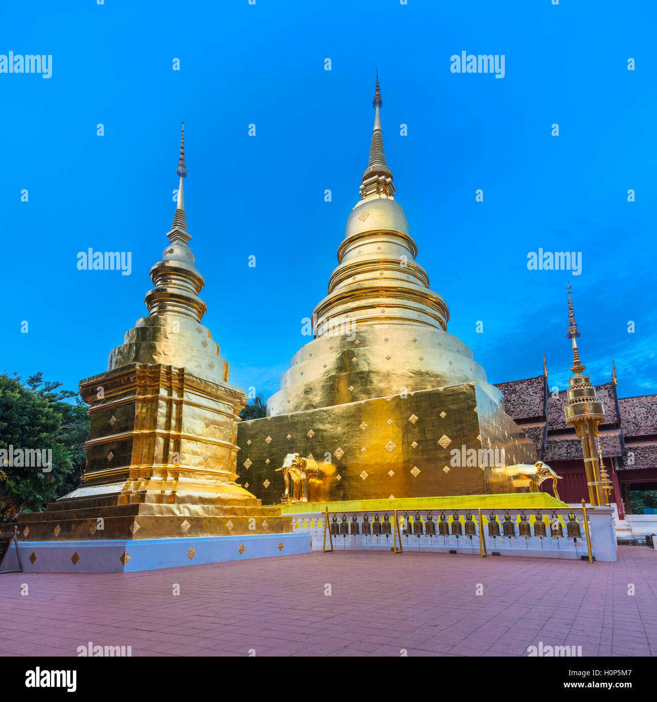 Ver el atardecer de la estupa dorada del templo Wat Phra Singh, el templo más venerado en Chiang Mai, Tailandia. Foto de stock