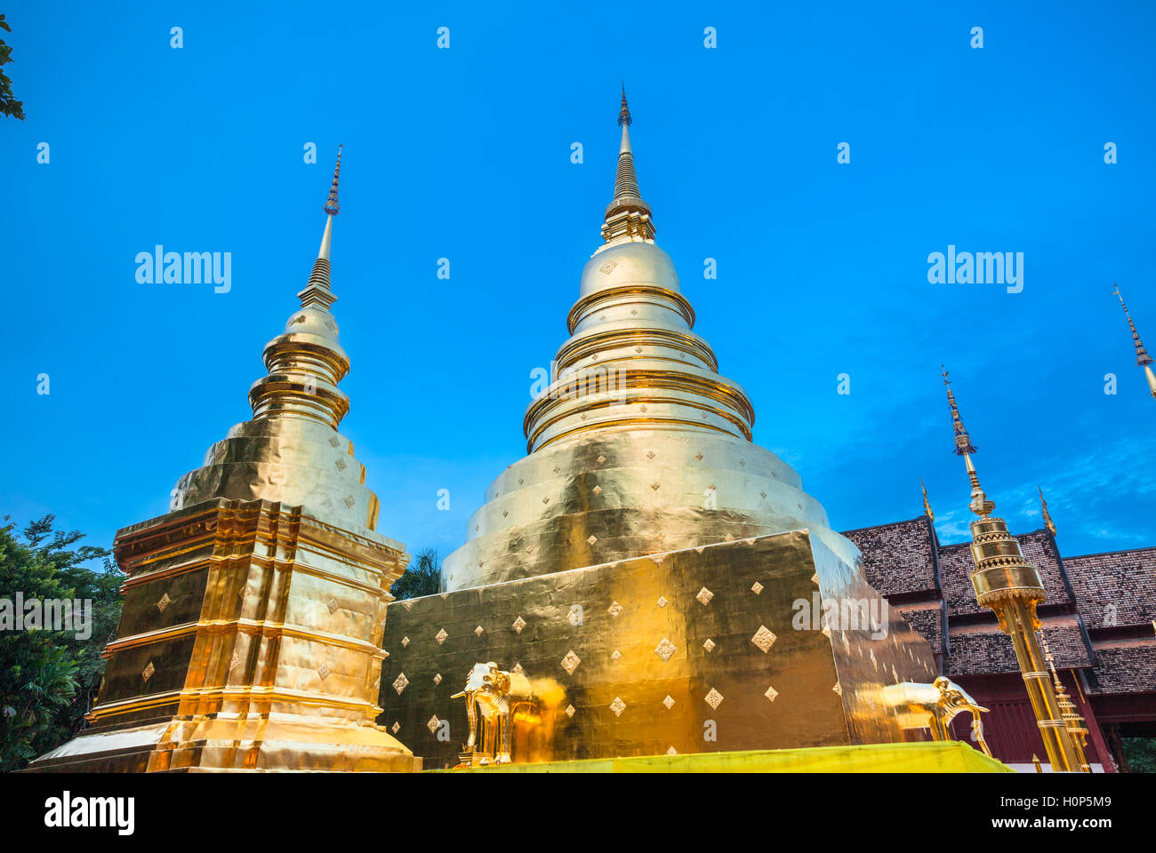 Ver el atardecer de la estupa dorada del templo Wat Phra Singh, el templo más venerado en Chiang Mai, Tailandia. Foto de stock