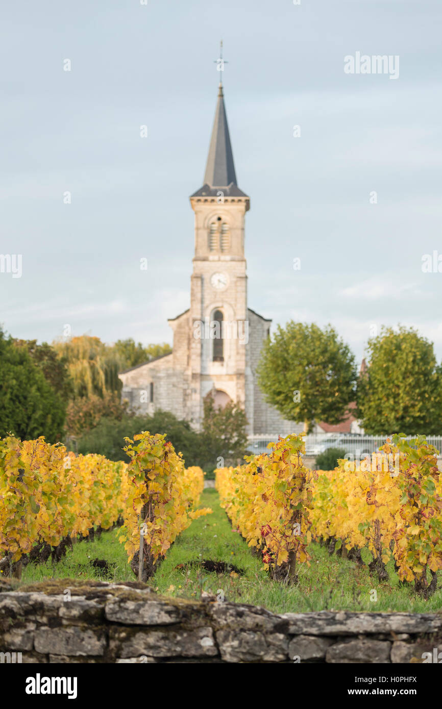 Iglesia de la aldea, rojo de Aloxe-Corton, Cote de Beaune, Borgoña, Francia Foto de stock