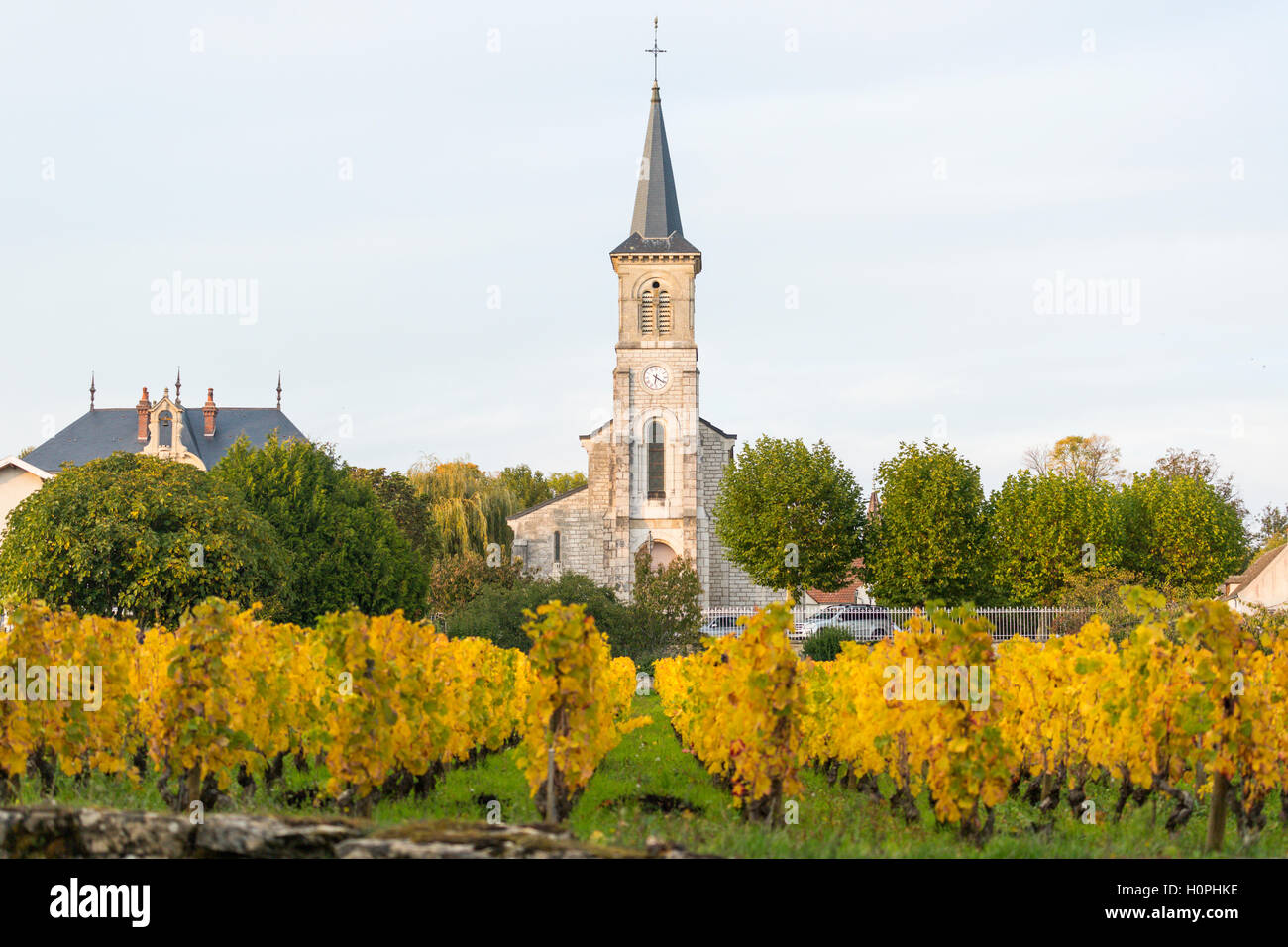 Iglesia de la aldea, rojo de Aloxe-Corton, Cote de Beaune, Borgoña, Francia Foto de stock