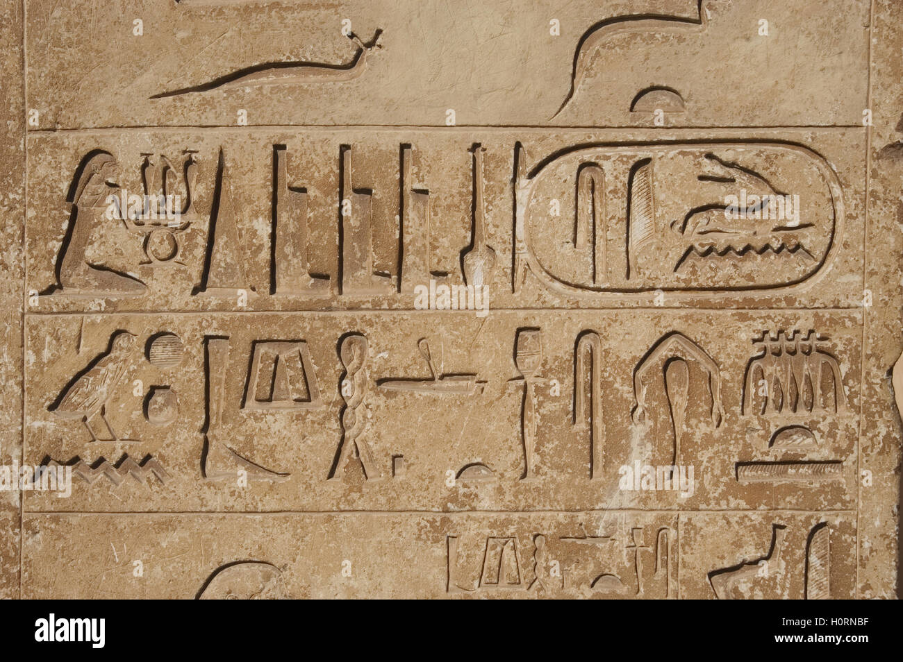 Egipto. La necrópolis de Saqqara. La escritura jeroglífica. Alivio. Antiguo Reino. Foto de stock