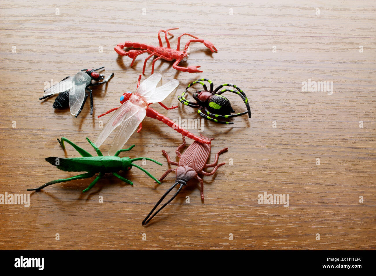 Insectos de juguete fotografías e imágenes de alta resolución - Alamy