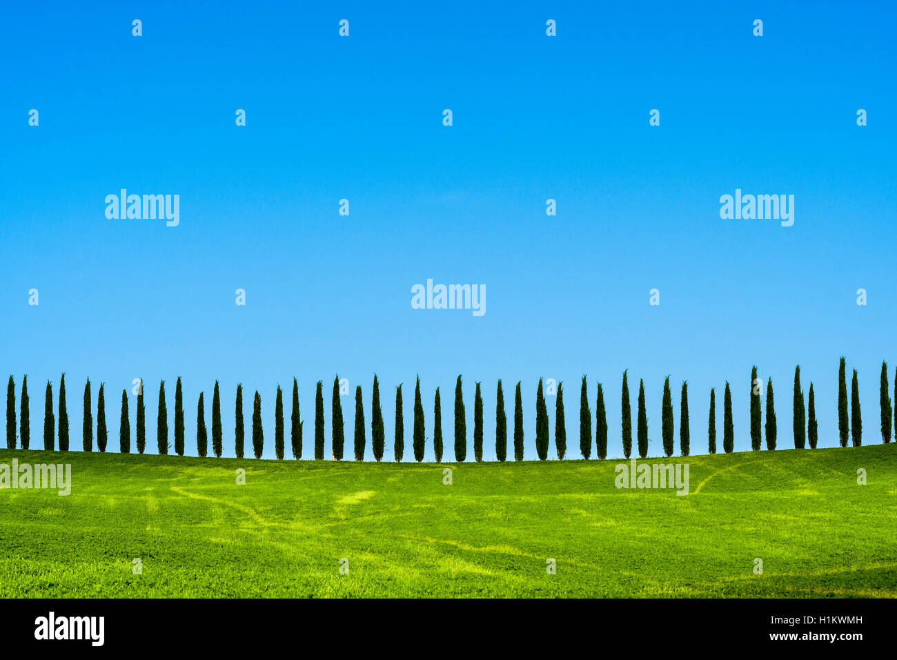 Verde típico paisaje toscano de Bagno Vignoni, Val d'Orcia, campos, cipreses y cielo azul, San Quirico d'Orcia, Toscana Foto de stock