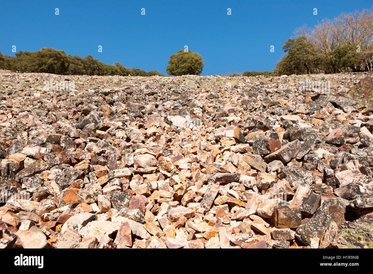 Paisaje con suelo rocoso y árboles en Cabaneros, España. Horizontal Foto de stock