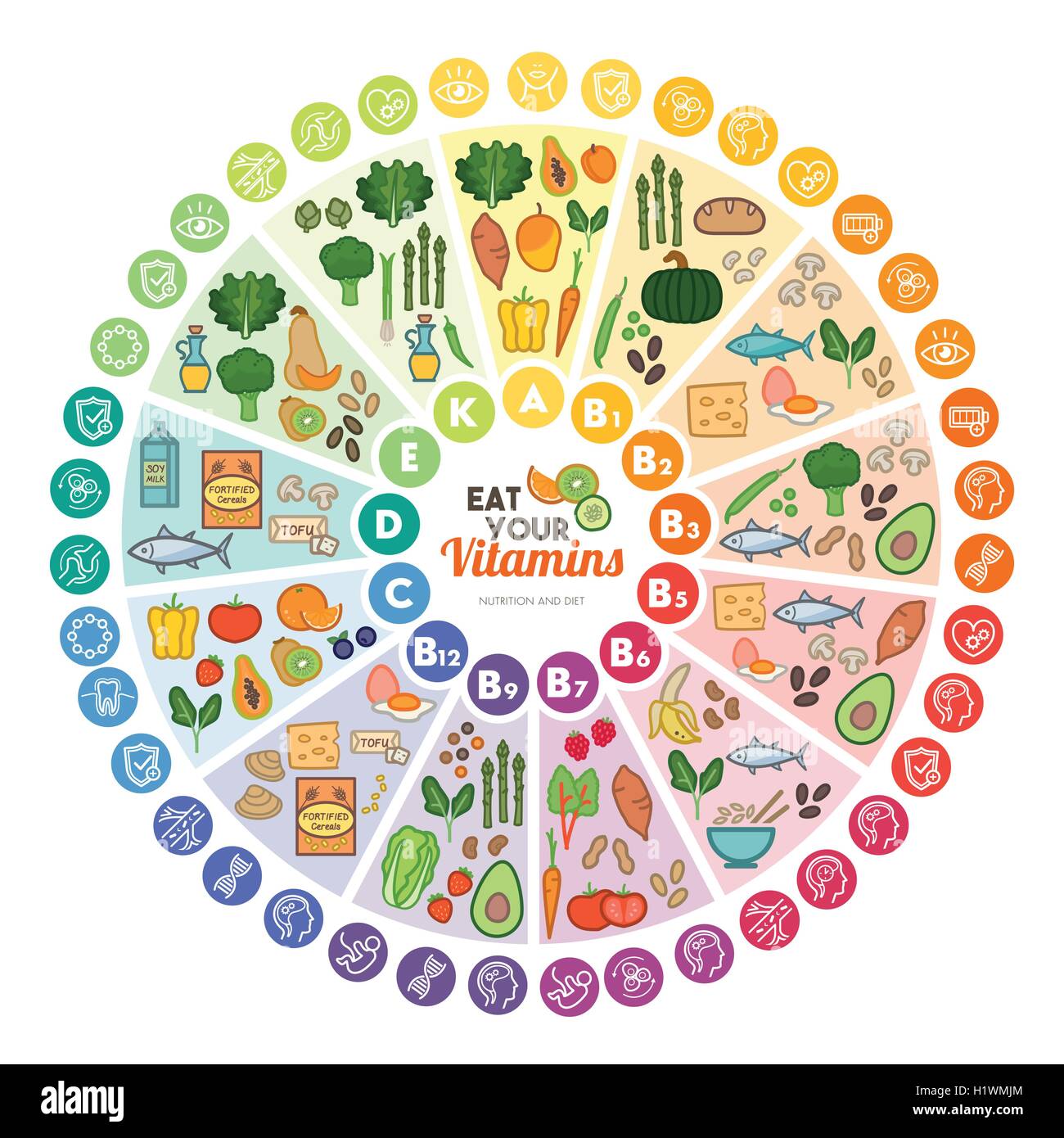 Fuentes alimenticias de vitaminas y funciones, la rueda del arco iris gráfico con iconos de