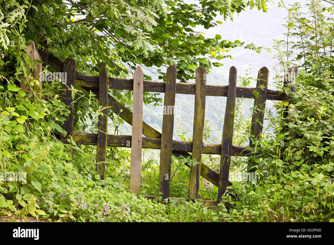 Puertas de acceso peatonal para cercas. Vallas de madera en Asturias españa  Fotografía de stock - Alamy