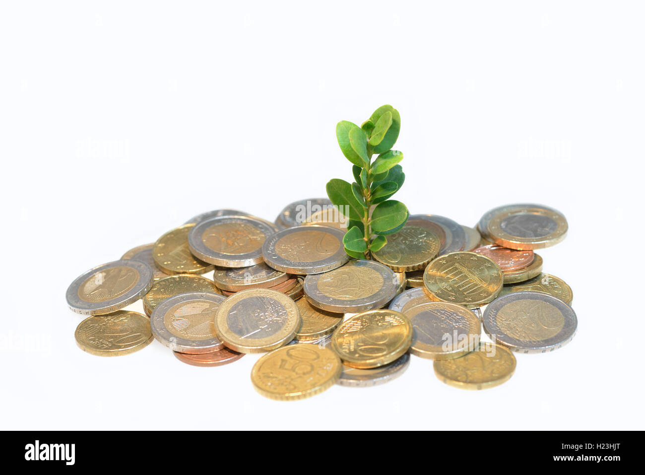 Las monedas de euro con una brotación seedling, simbolizando el crecimiento Foto de stock