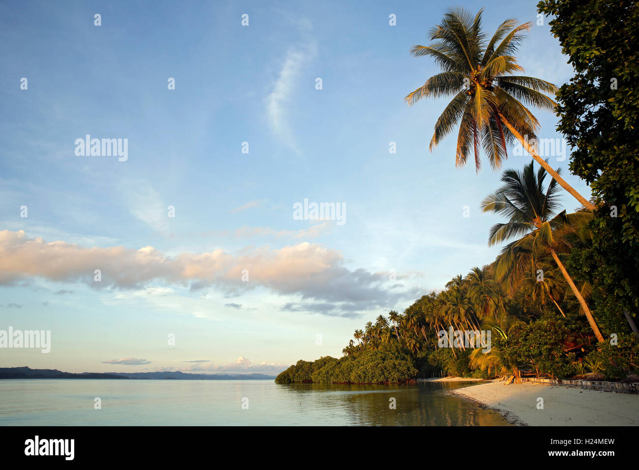 Las palmeras y playa en Raja Ampat Lodge de Buceo en Isla Mansuar. Raja Ampat, Indonesia Foto de stock