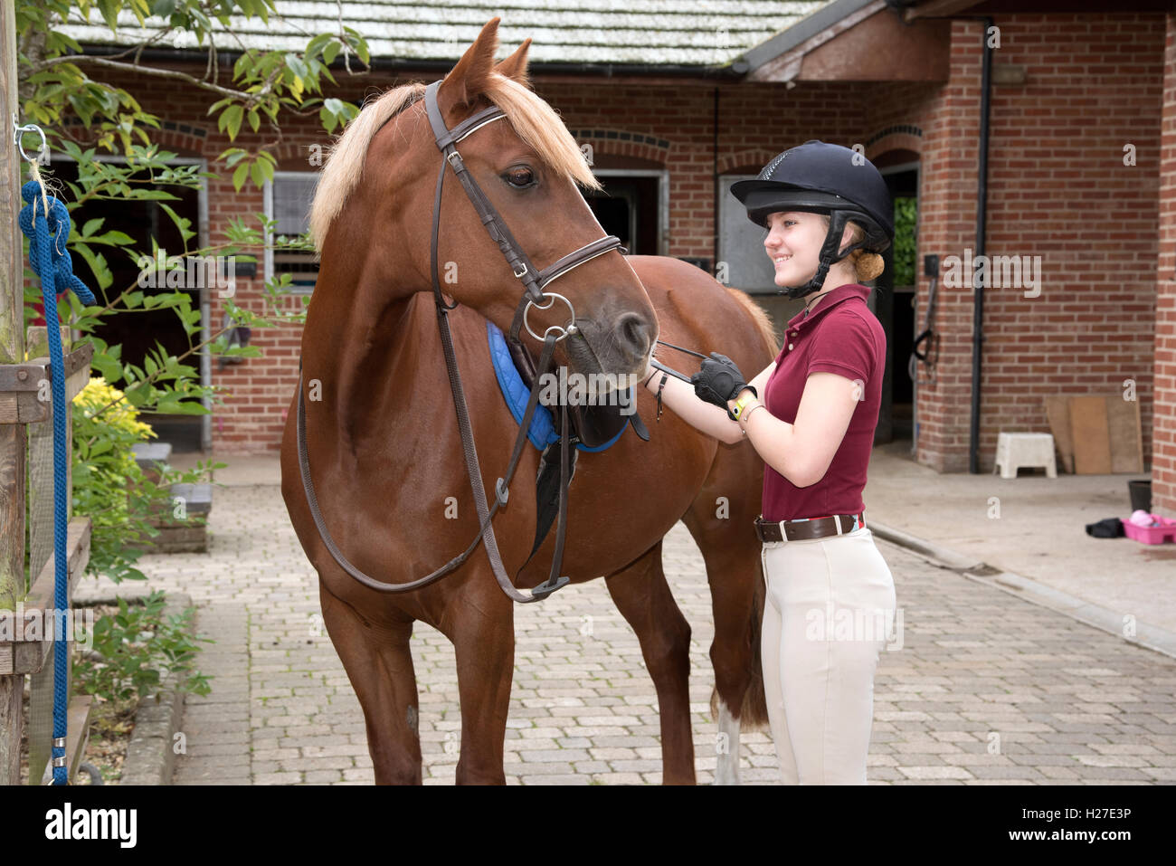 Joven Motociclista preparando un pony para su lección de equitación.adolescente ajustando la longitud de estribo Foto de stock