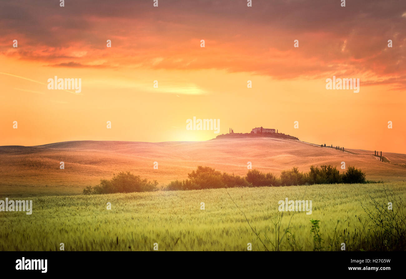 Toscana en una colina al amanecer. Foto de stock