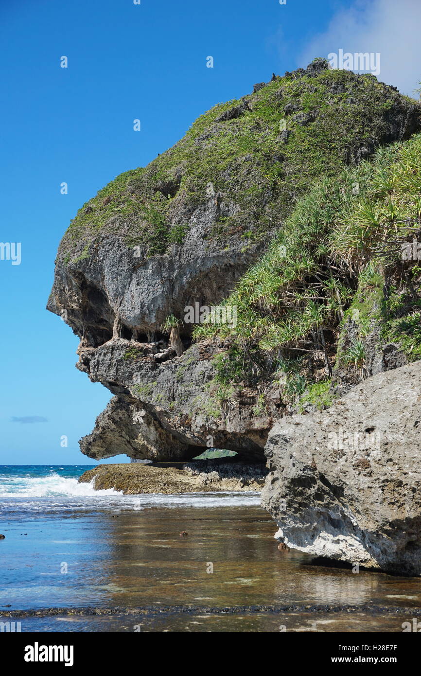 Calizas erosionadas acantilado que parece un monstruo jefe en la costa del océano Pacífico, Isla de Rurutu, Austral, Polinesia Francesa Foto de stock