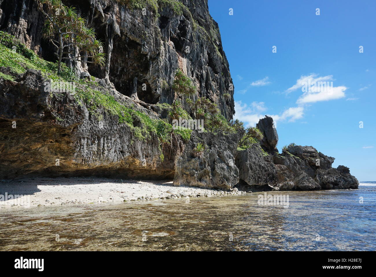 Acantilados de piedra caliza erosionada con cueva en la costa del océano Pacífico, Isla de Rurutu, austral archipiélago, Polinesia Francesa Foto de stock