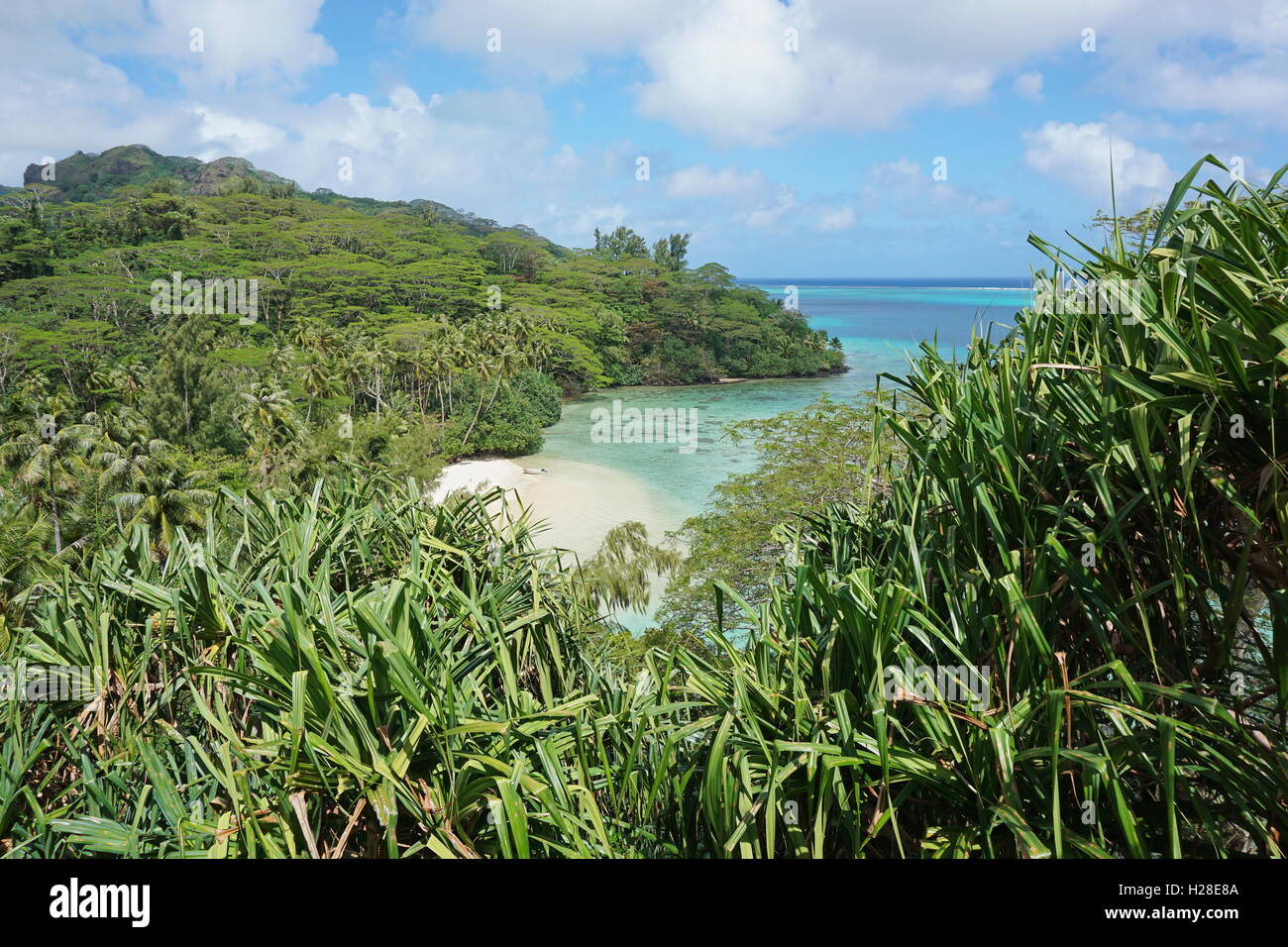 Una apartada playa de arena con exuberante vegetación tropical, Huahine, la isla del océano Pacífico, la Polinesia Francesa Foto de stock
