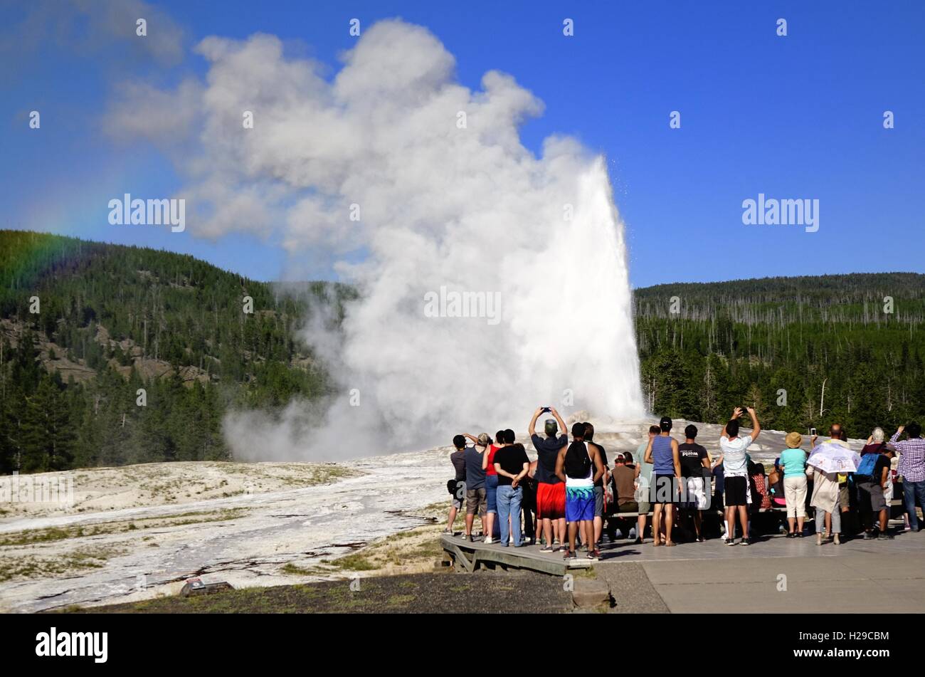 La gente ve la erupción del Old Faithful Geyser, el Parque Nacional de Yellowstone. Foto de stock